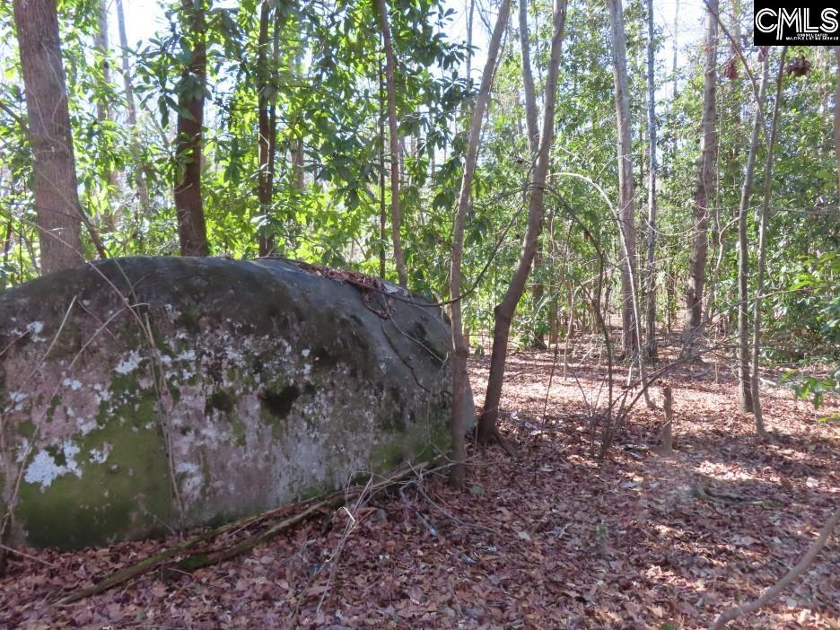 0 Rion Road Winnsboro, SC 29180 - Photo 20 of 42