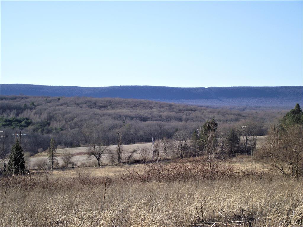 664 Fehr Road Nazareth, PA 18064 - Photo 8 of 9 a view of a dry dry field
