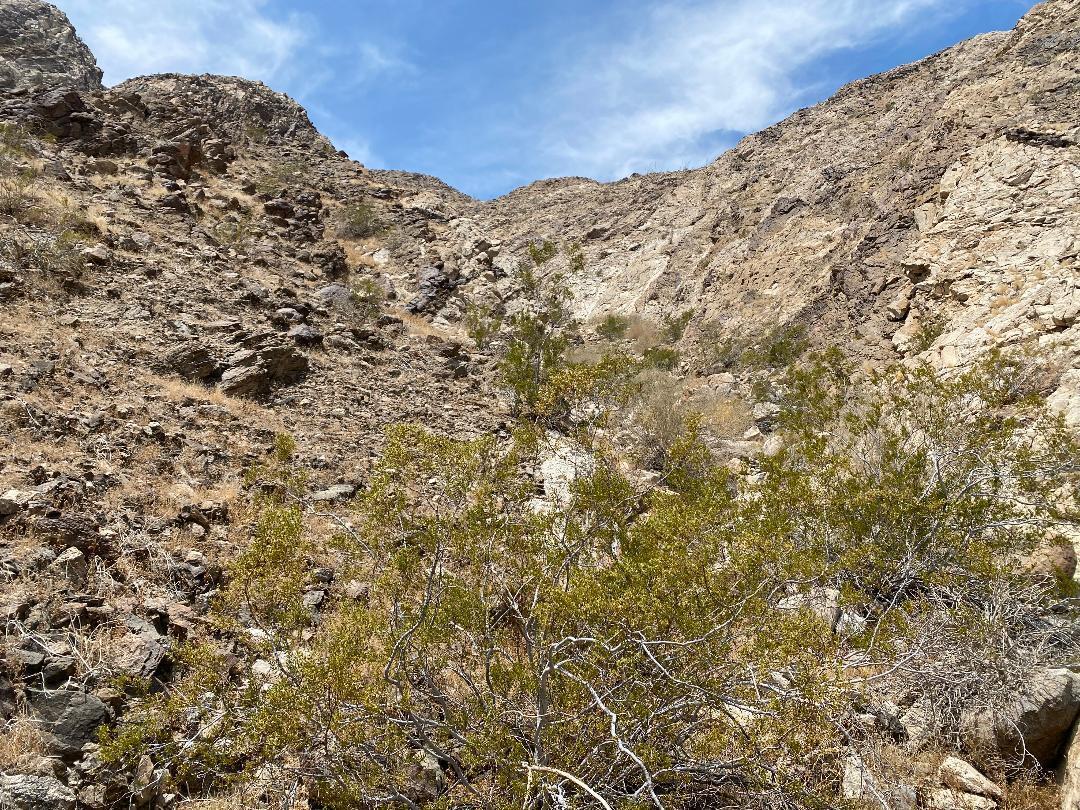 0 Coolidge Springs Road Thermal, CA 92274 - Photo 61 of 62 thumbnail (89)