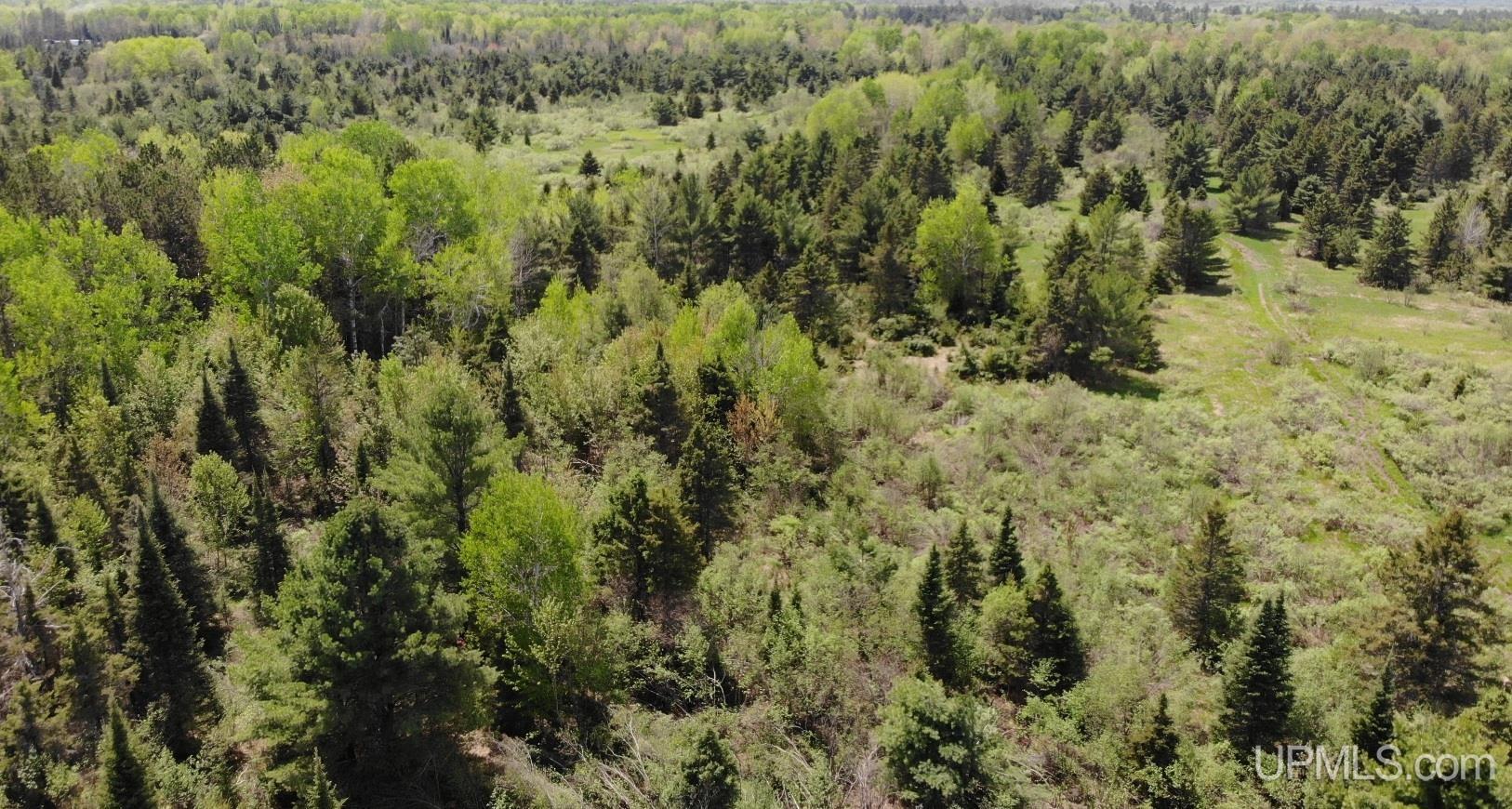 15467 Larson Road Bruce Crossing, MI 49912 - Photo 32 of 44