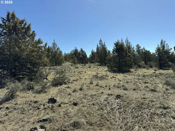 $15,000 | Bluebill Lane, Bonanza, OR 97623