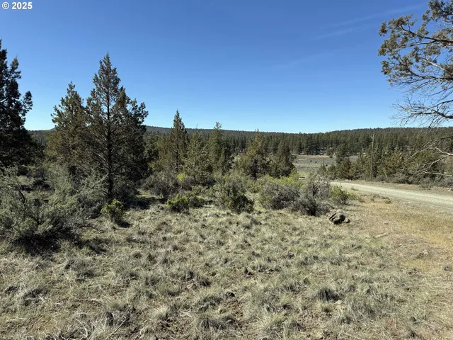 a view of a covered with trees in the background