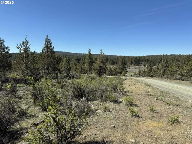 a view of a dry yard with trees in the background