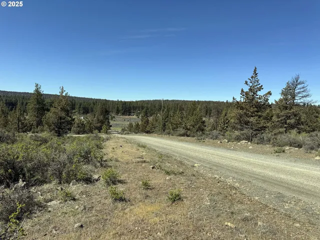 a view of a dry yard with wooden fence