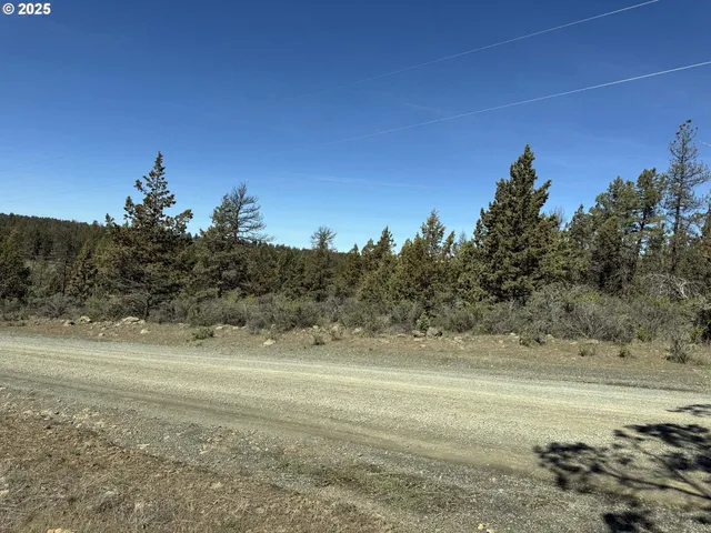a view of a yard with ocean view
