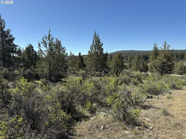 $15,000 | Bluebill Lane, Bonanza, OR 97623