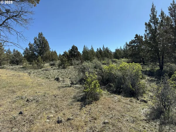 $15,000 | Bluebill Lane, Bonanza, OR 97623