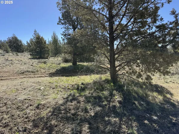 $15,000 | Bluebill Lane, Bonanza, OR 97623