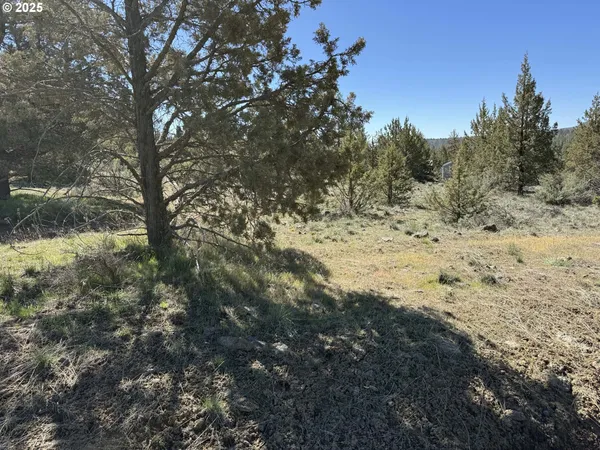 $15,000 | Bluebill Lane, Bonanza, OR 97623