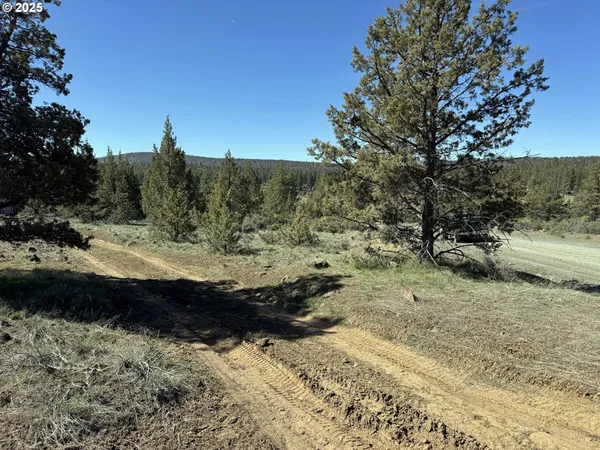 $15,000 | Bluebill Lane, Bonanza, OR 97623