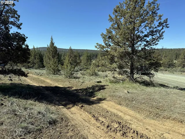 a view of a road with a yard
