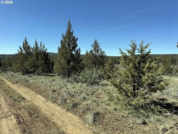 $15,000 | Bluebill Lane, Bonanza, OR 97623