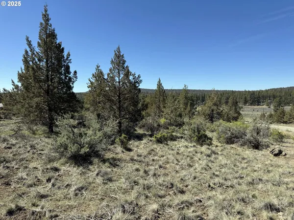 $15,000 | Bluebill Lane, Bonanza, OR 97623