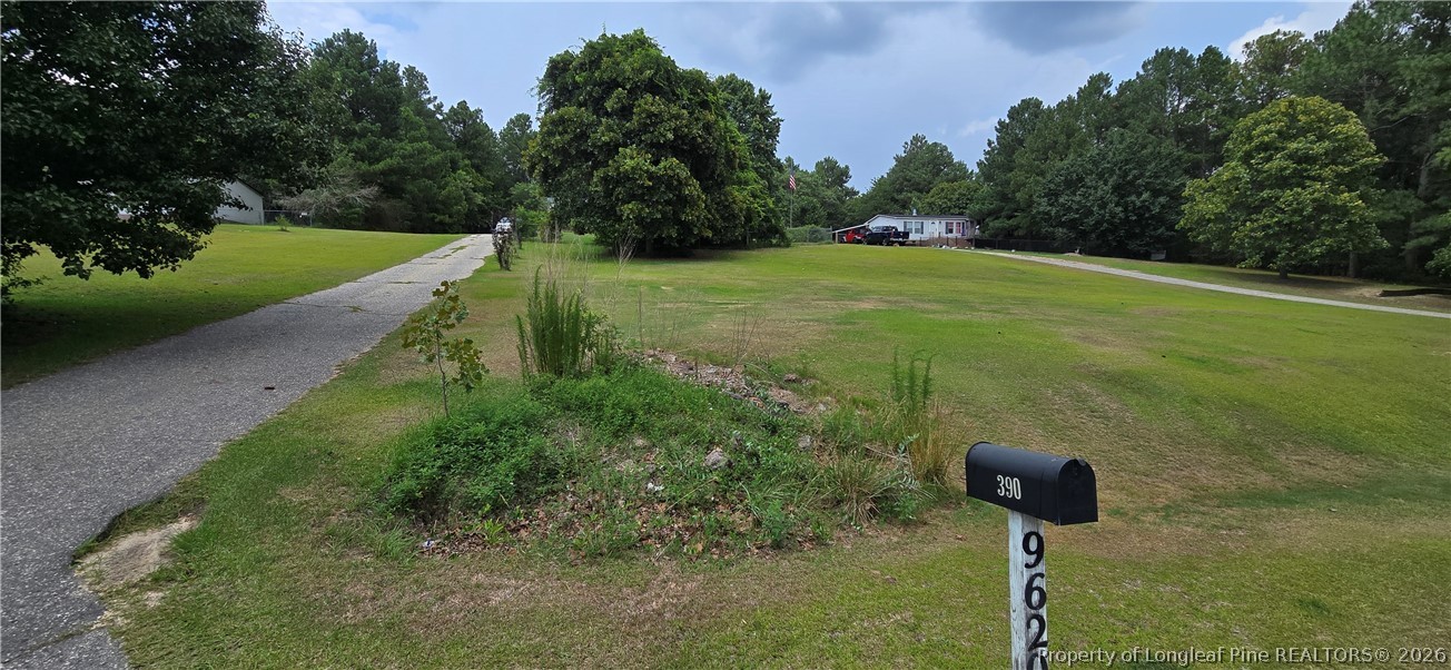 390 Kathleen Road Lillington, NC 27546 - Photo 34 of 43