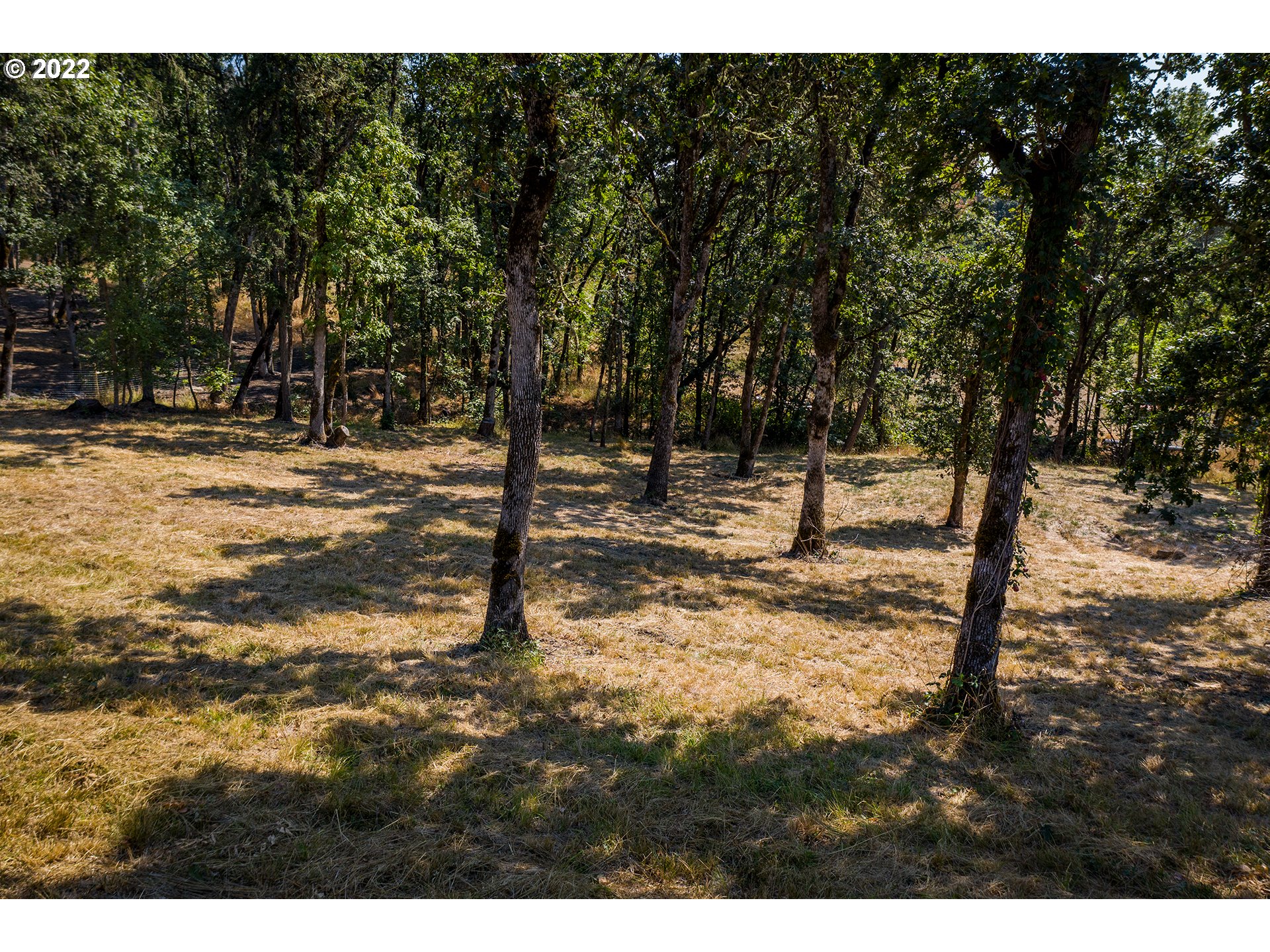 Ash Springfield, OR 97477 - Photo 12 of 28 a view of outdoor space with trees