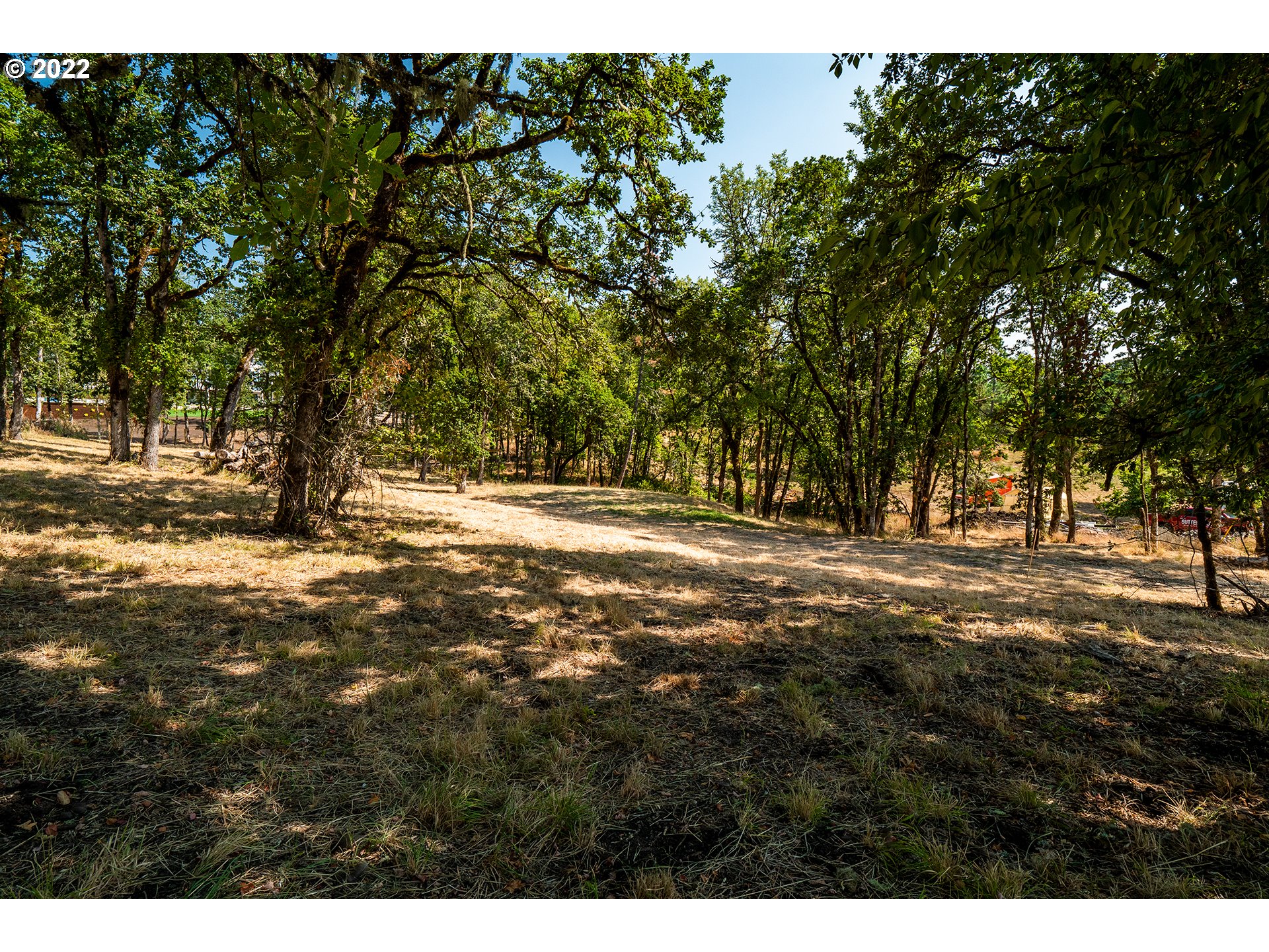Ash Springfield, OR 97477 - Photo 13 of 28 a view of outdoor space with trees