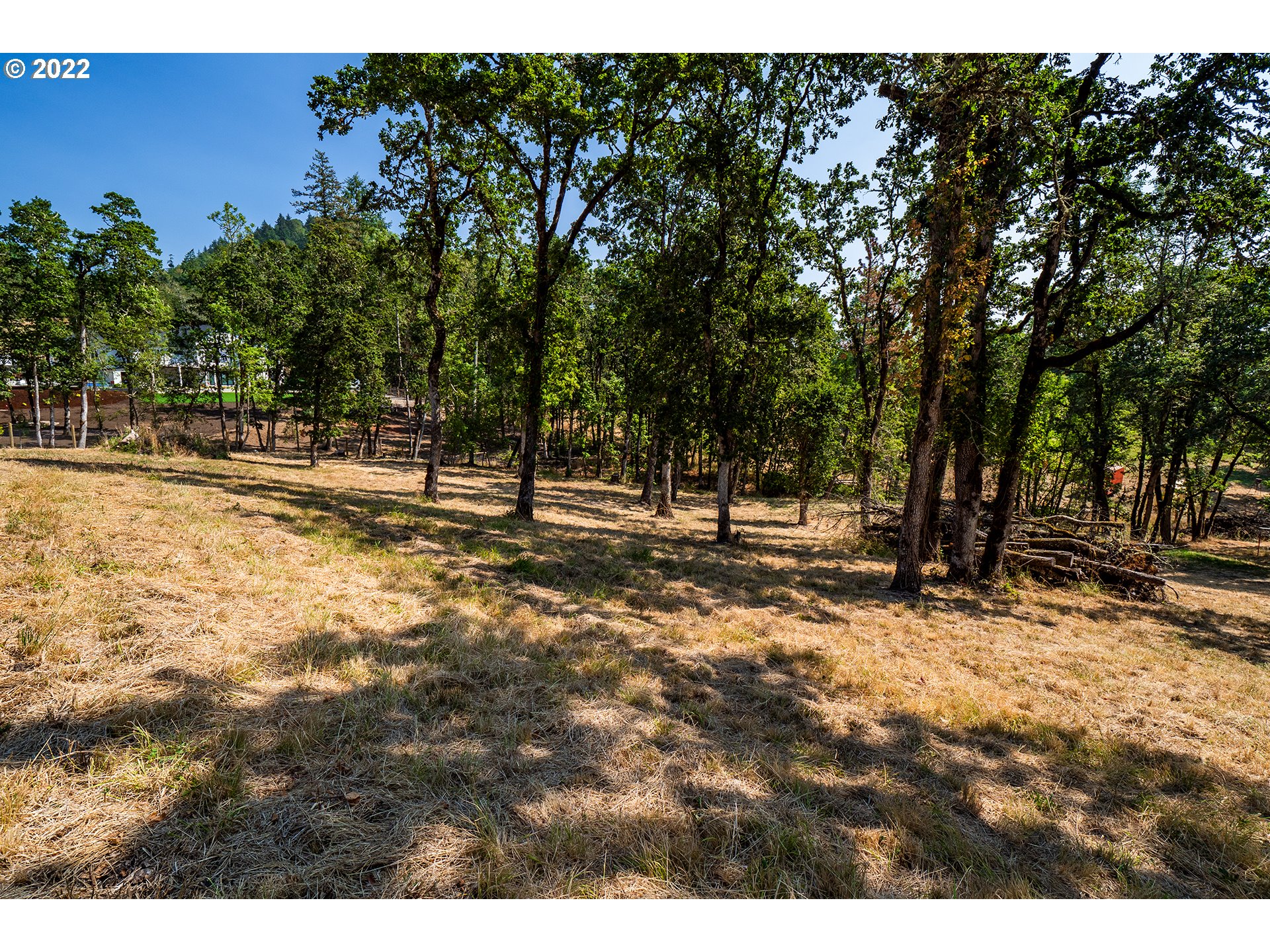 Ash Springfield, OR 97477 - Photo 15 of 28 a view of outdoor space with trees