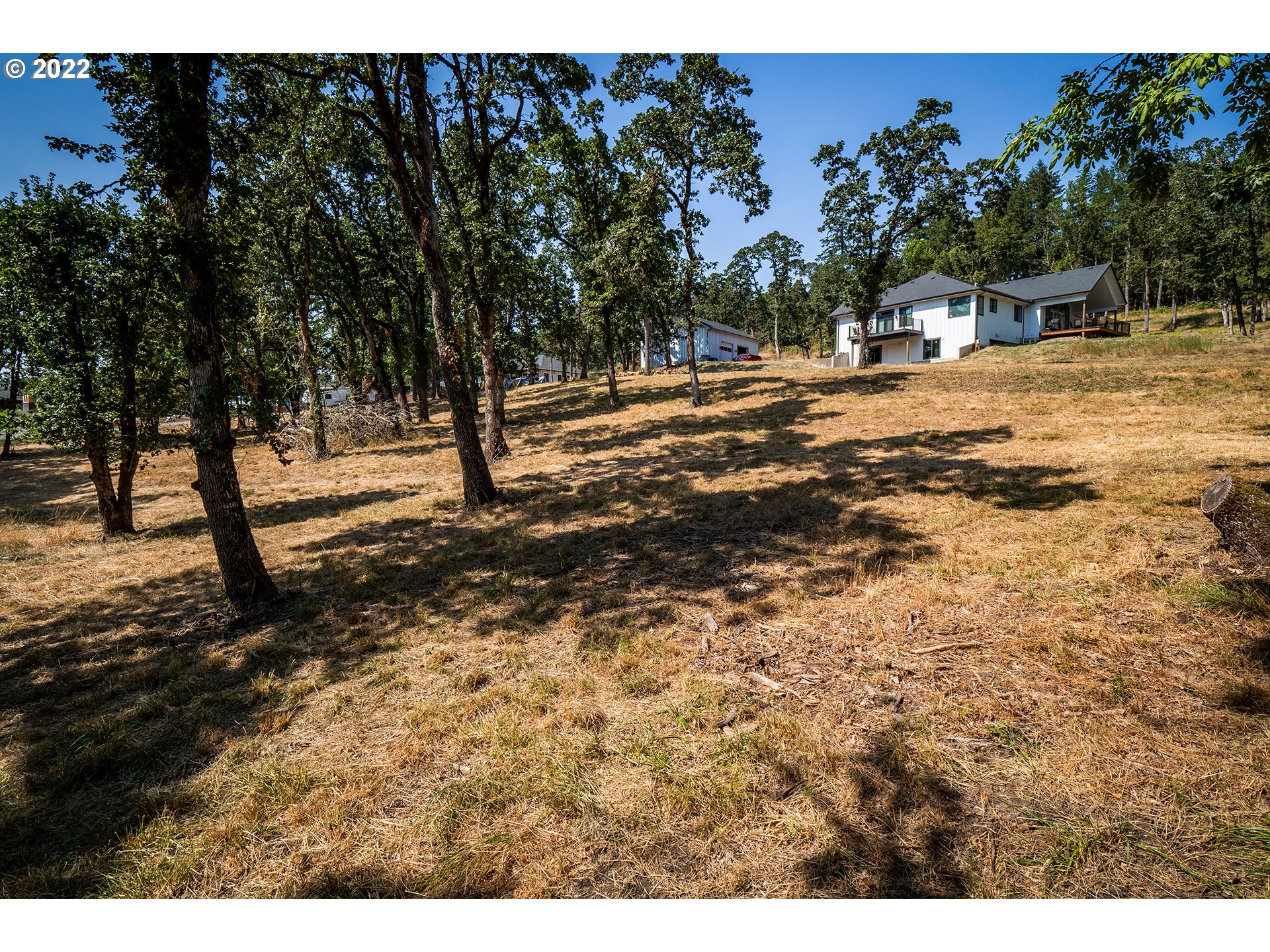 Ash Springfield, OR 97477 - Photo 18 of 28 a view of open space with trees
