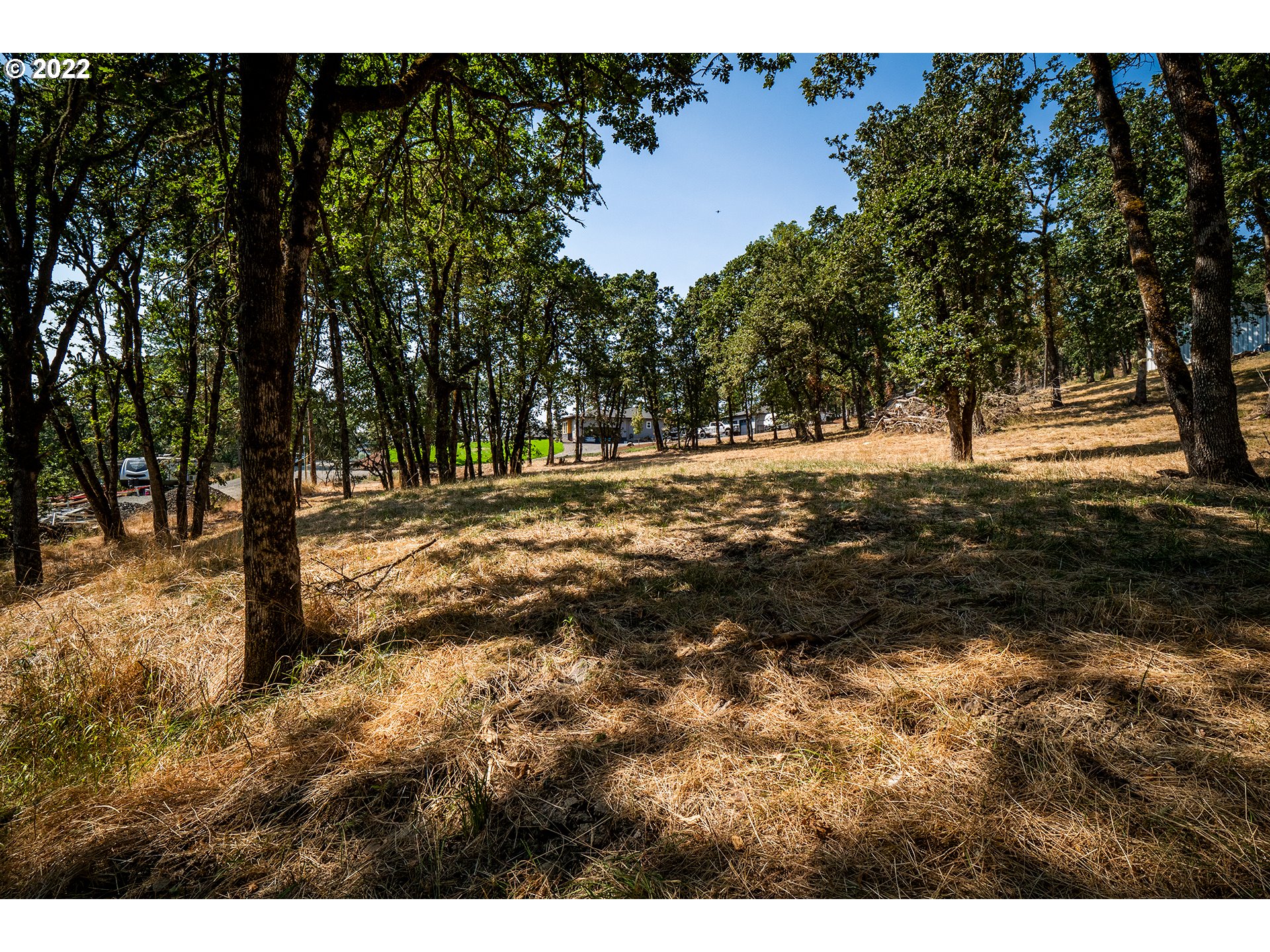 Ash Springfield, OR 97477 - Photo 19 of 28 a view of dirt yard with a large tree