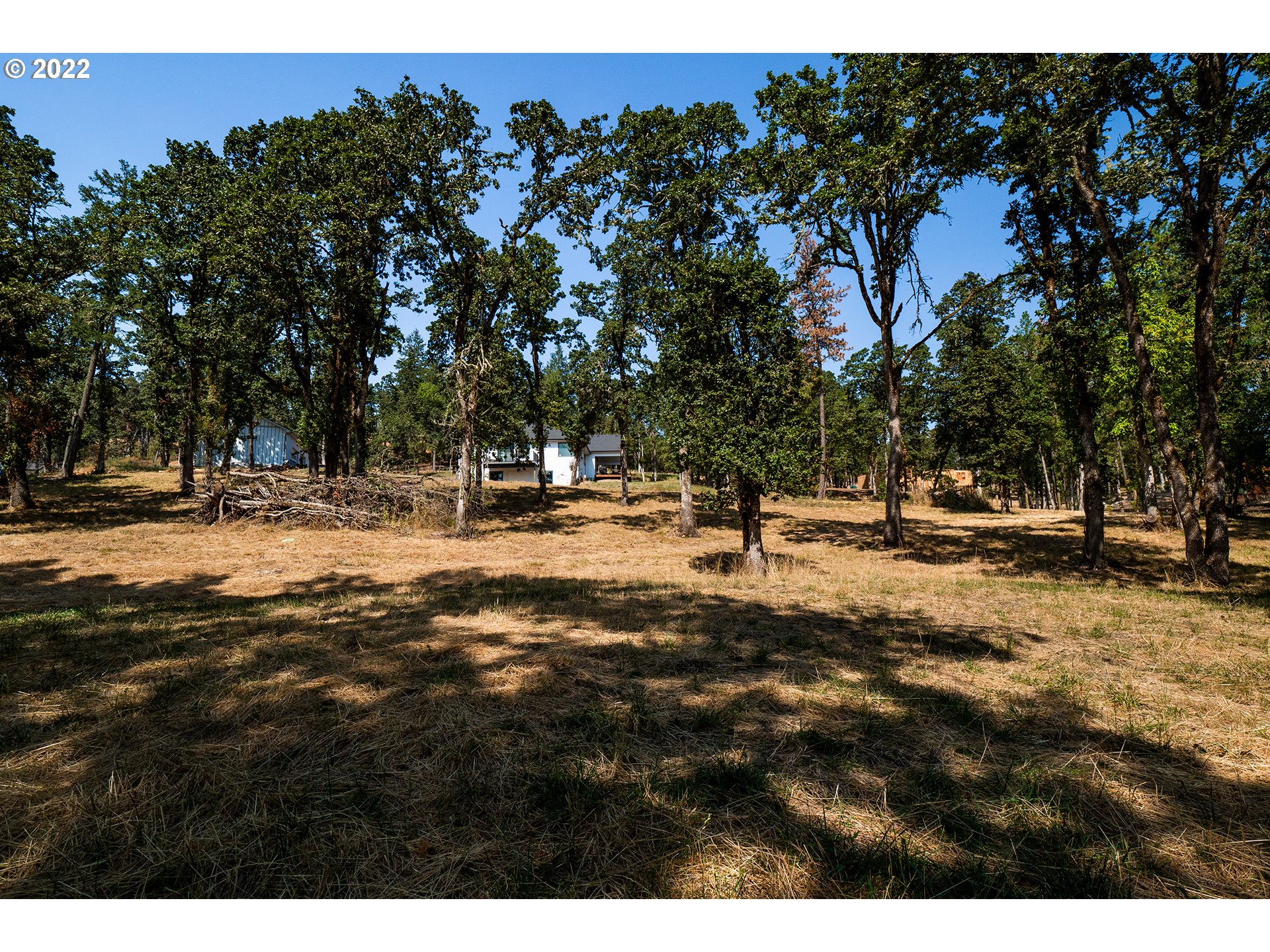 Ash Springfield, OR 97477 - Photo 20 of 28 a view of road with trees
