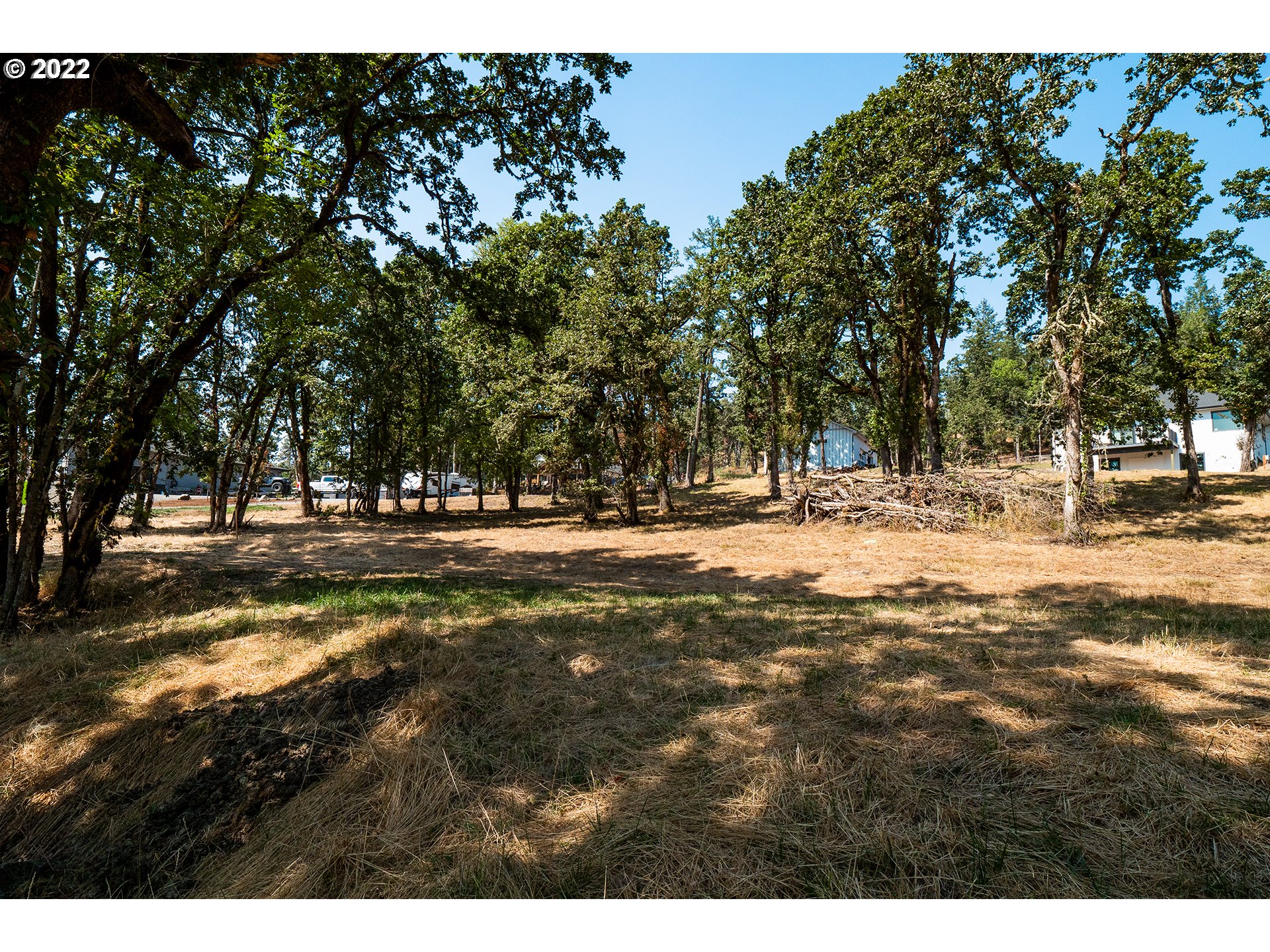Ash Springfield, OR 97477 - Photo 21 of 28 a view of road with trees