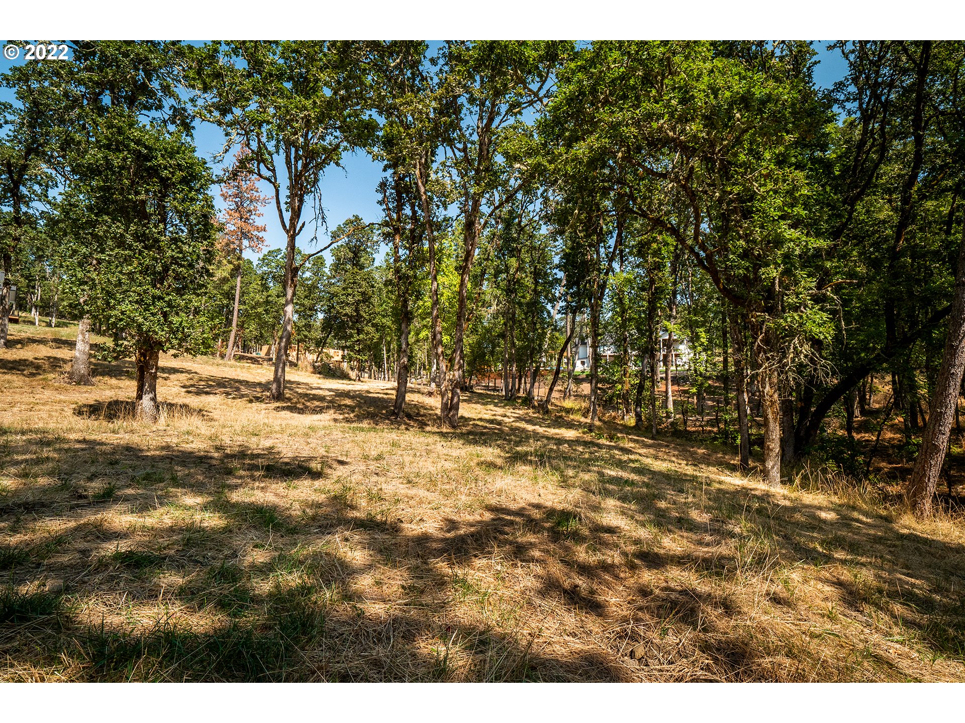 Ash Springfield, OR 97477 - Photo 22 of 28 a view of outdoor space with trees