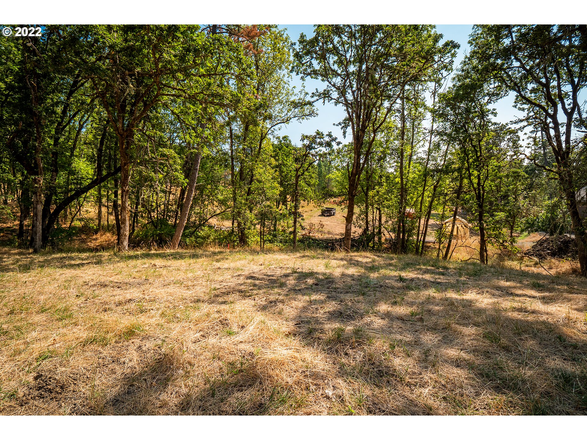 Ash Springfield, OR 97477 - Photo 24 of 28 a view of outdoor space with trees