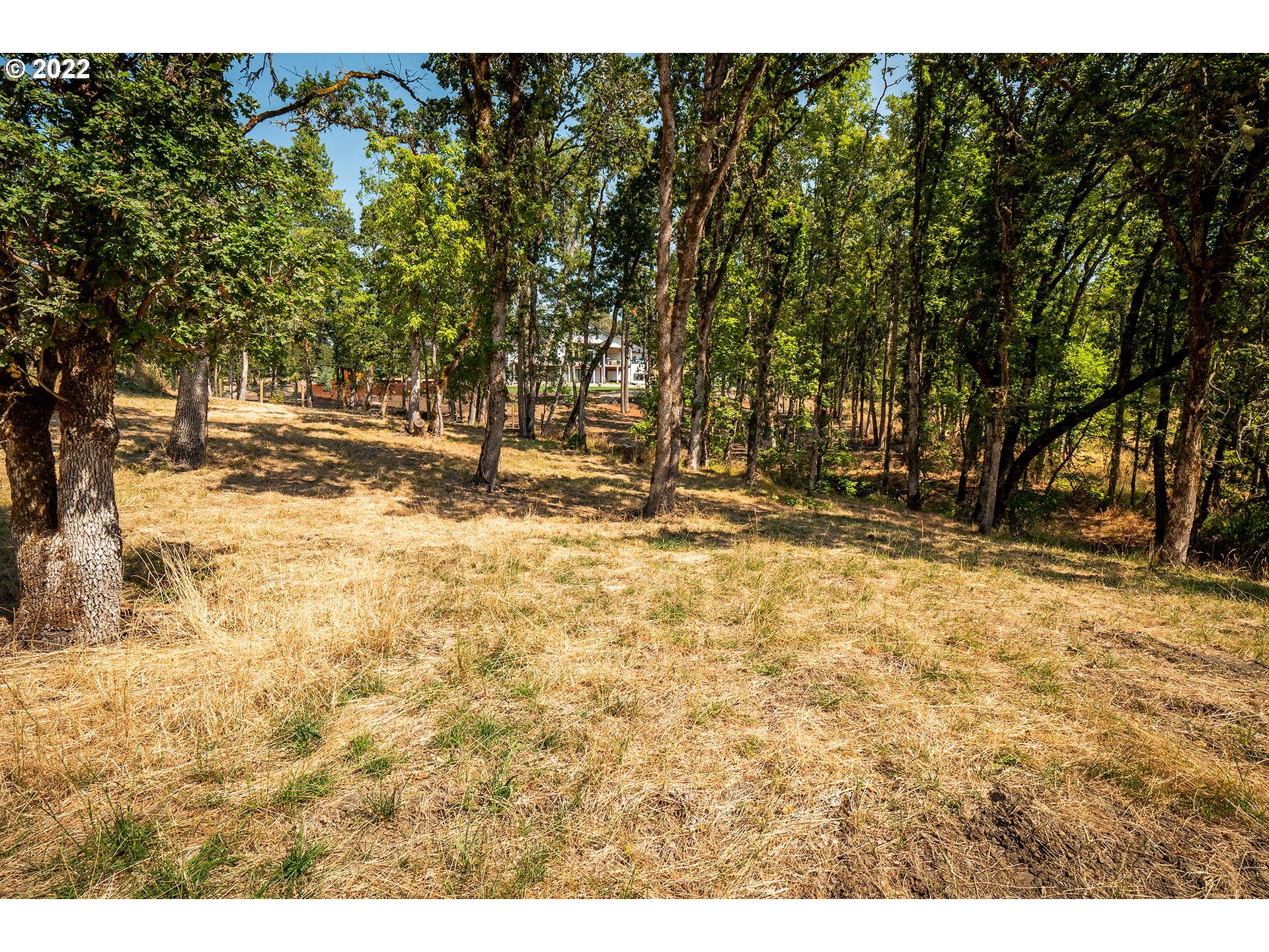 Ash Springfield, OR 97477 - Photo 25 of 28 a view of outdoor space with trees