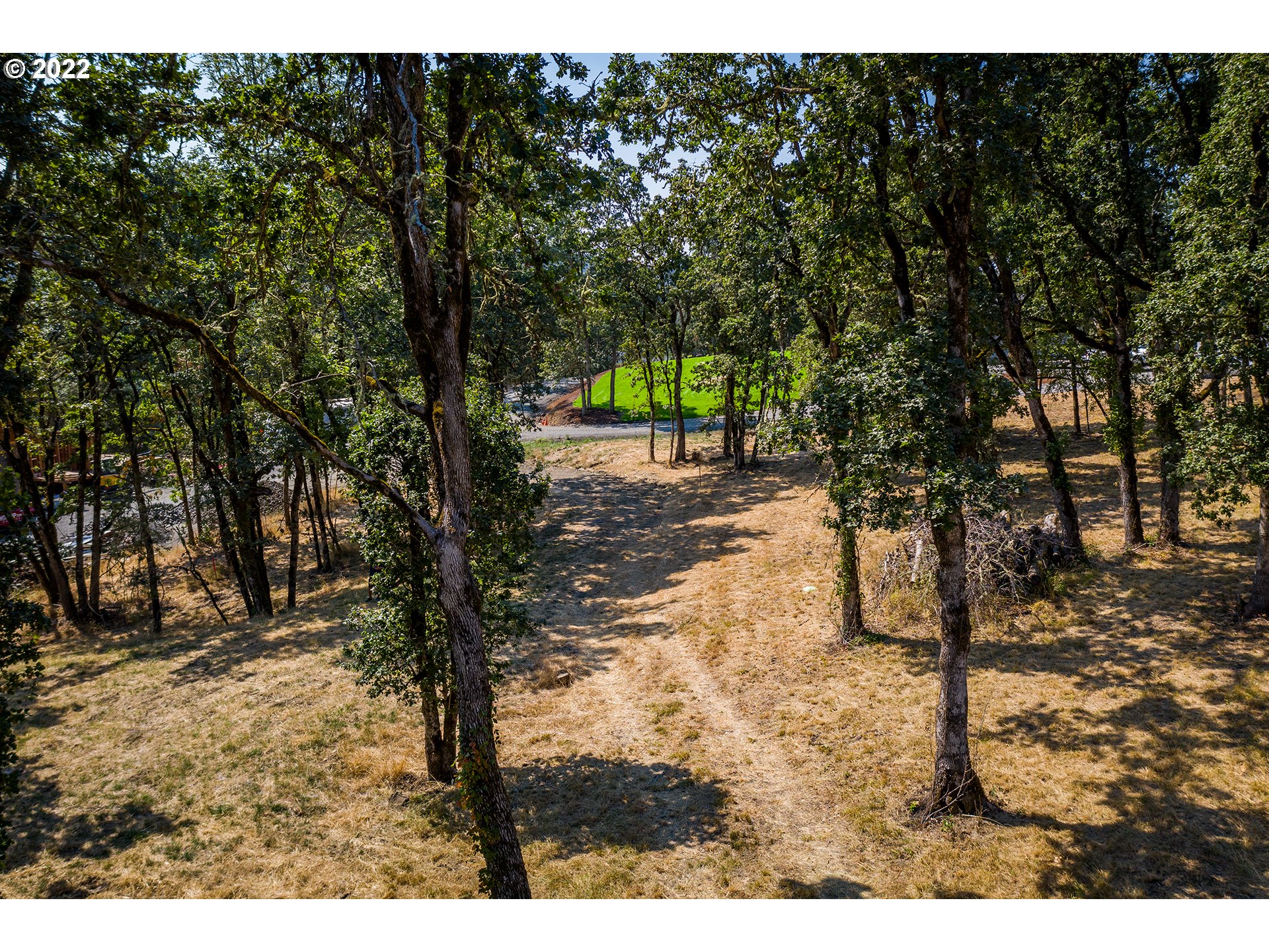 Ash Springfield, OR 97477 - Photo 7 of 28 a view of a yard with trees
