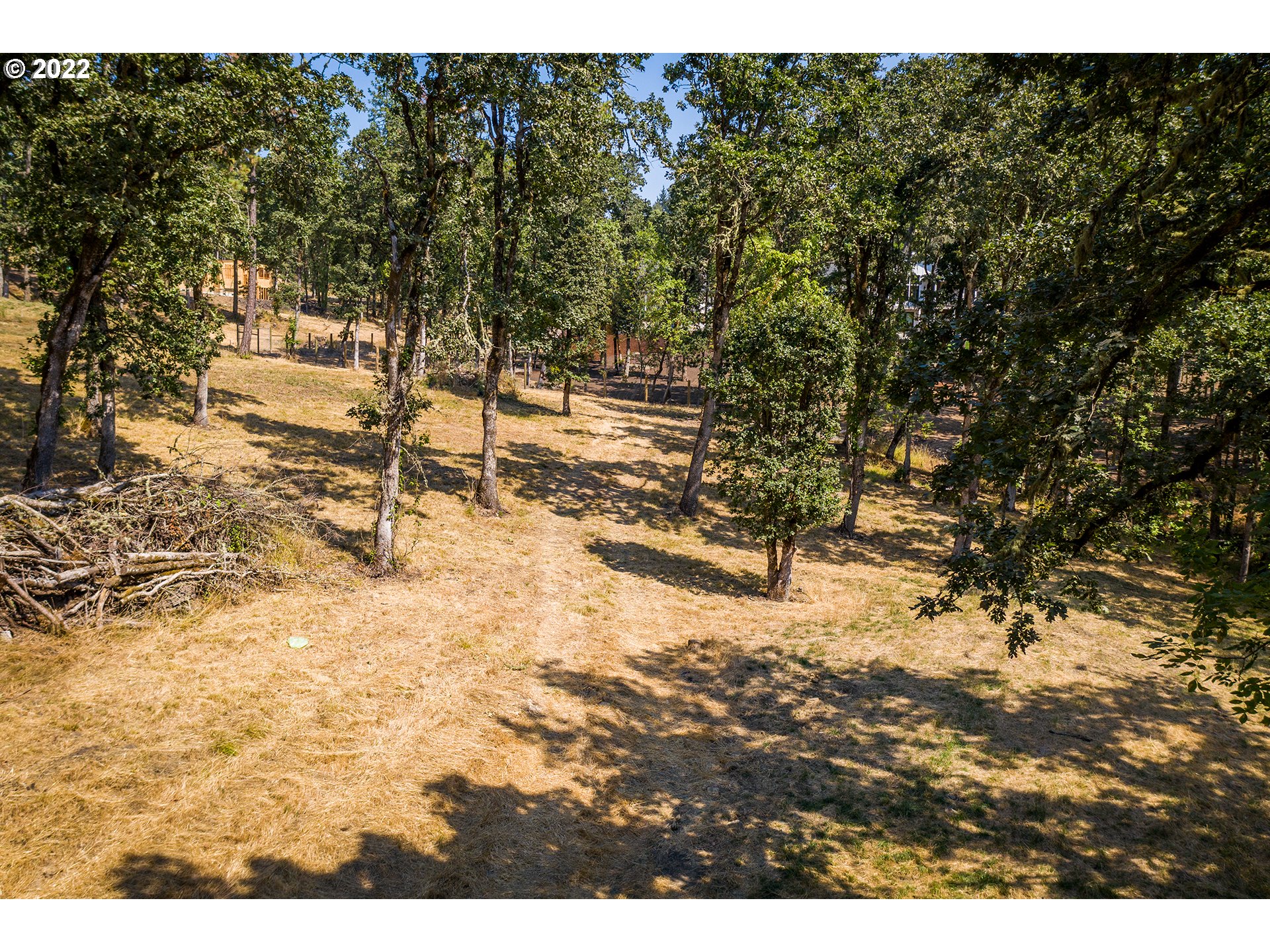 Ash Springfield, OR 97477 - Photo 8 of 28 a view of outdoor space and yard