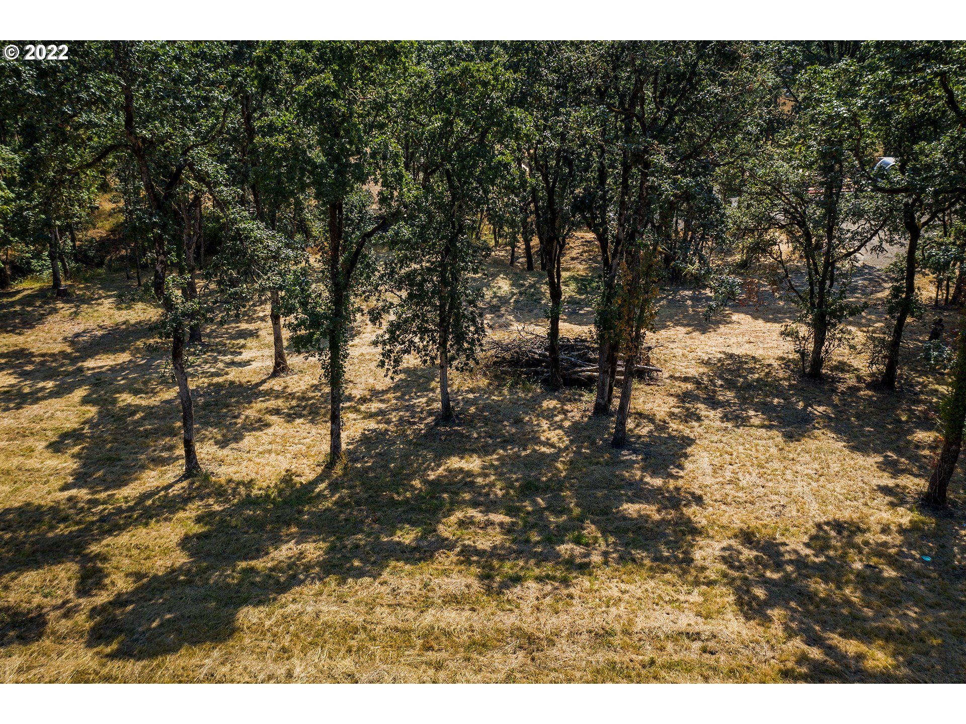 Ash Springfield, OR 97477 - Photo 9 of 28 a view of a yard with trees in the background