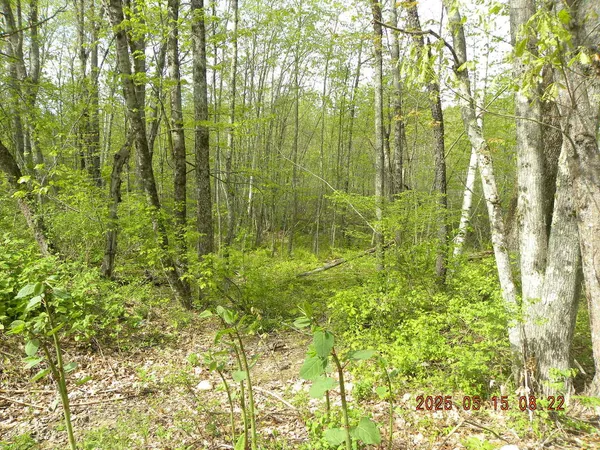 $37,500 | Lot 35 Bennett Road, Alfred, ME 04002
