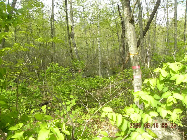 $37,500 | Lot 35 Bennett Road, Alfred, ME 04002