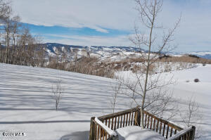 714 Gore Trail Edwards, CO 81632 - Photo 14 of 15 a view of wooden roof