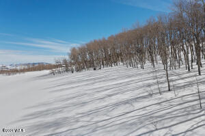 714 Gore Trail Edwards, CO 81632 - Photo 5 of 15
