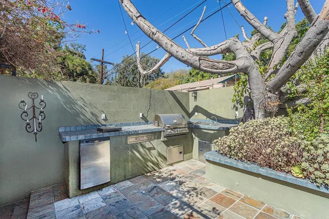 a view of a backyard with plants and a patio