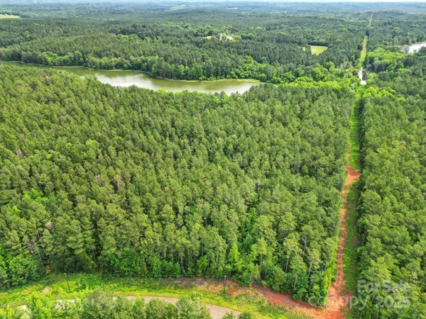 a view of a green field with lots of bushes