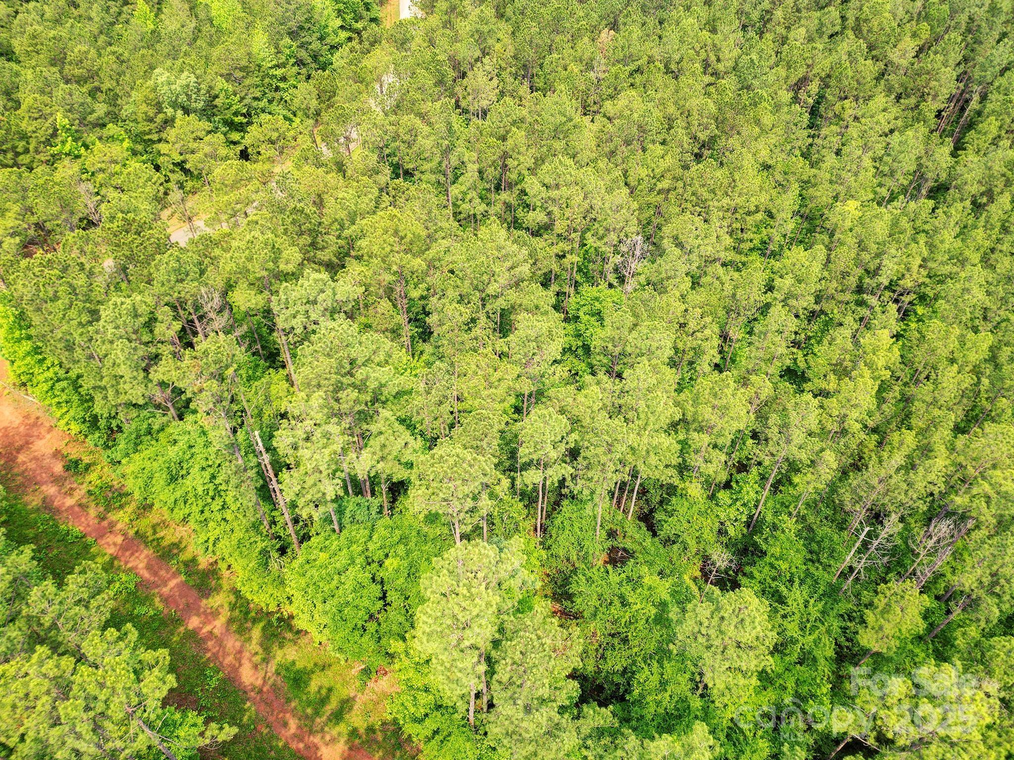 Lot 10 Goings Road, Unit 10 Chester, SC 29706 - Photo 11 of 14