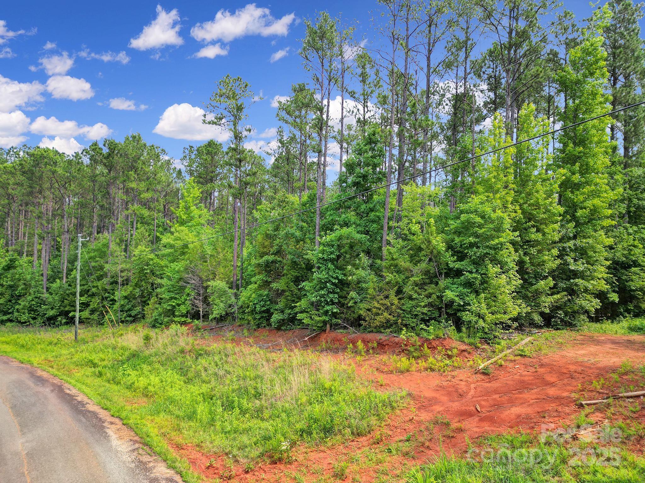 Lot 10 Goings Road, Unit 10 Chester, SC 29706 - Photo 12 of 14