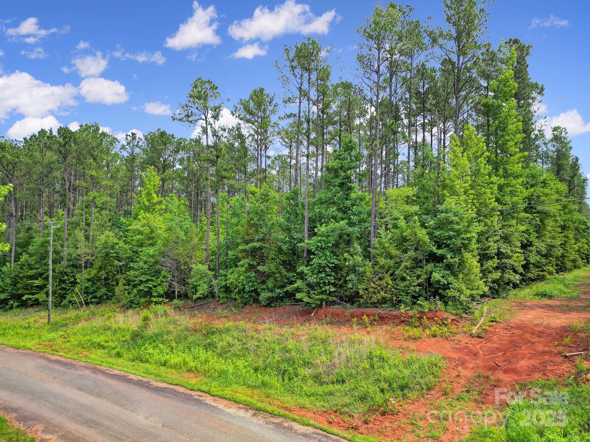 Lot 10 Goings Road, Unit 10 Chester, SC 29706 - Photo 13 of 14