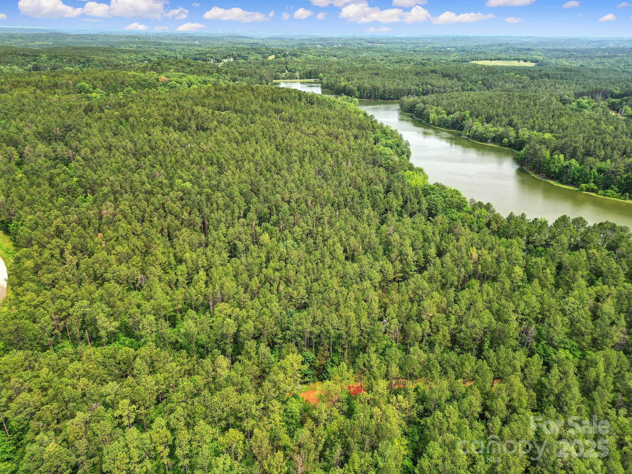 Lot 10 Goings Road, Unit 10 Chester, SC 29706 - Photo 2 of 14