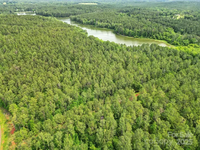 a view of a lush green forest with a lush green forest