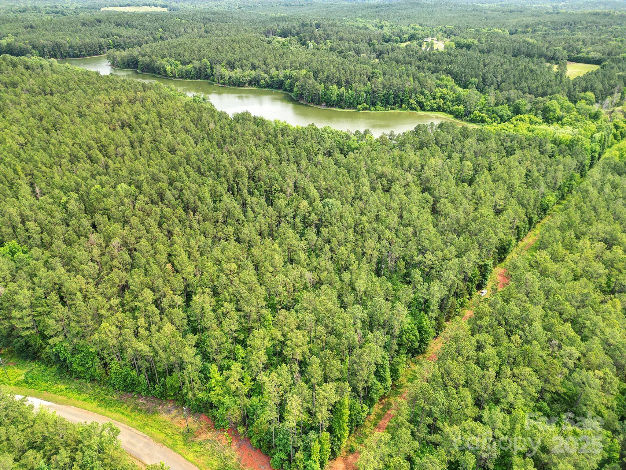 Lot 10 Goings Road, Unit 10 Chester, SC 29706 - Photo 4 of 14