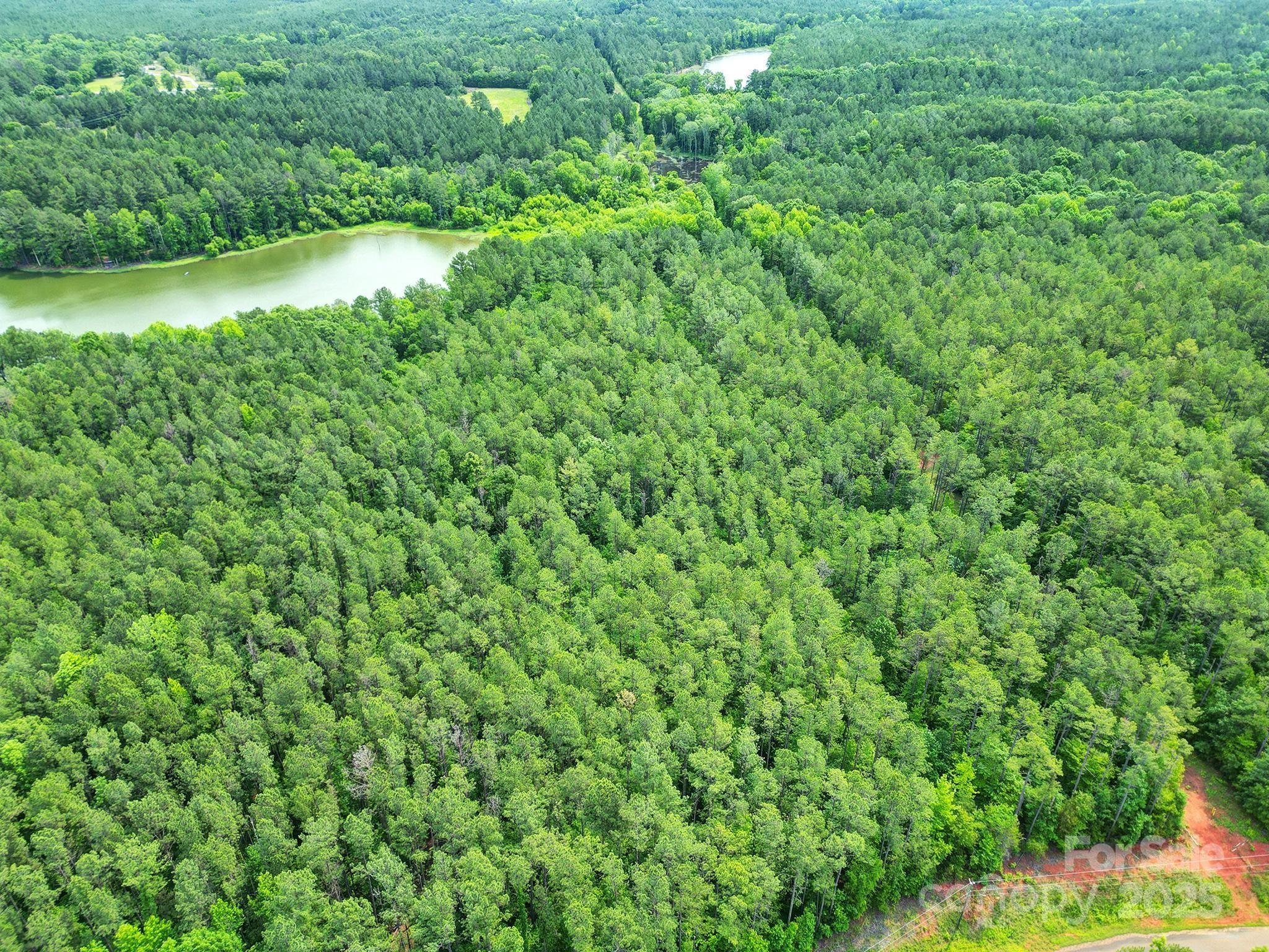 Lot 10 Goings Road, Unit 10 Chester, SC 29706 - Photo 5 of 14