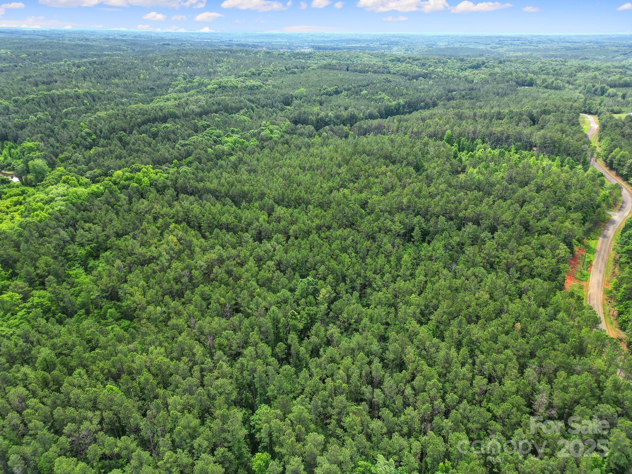 Lot 10 Goings Road, Unit 10 Chester, SC 29706 - Photo 6 of 14