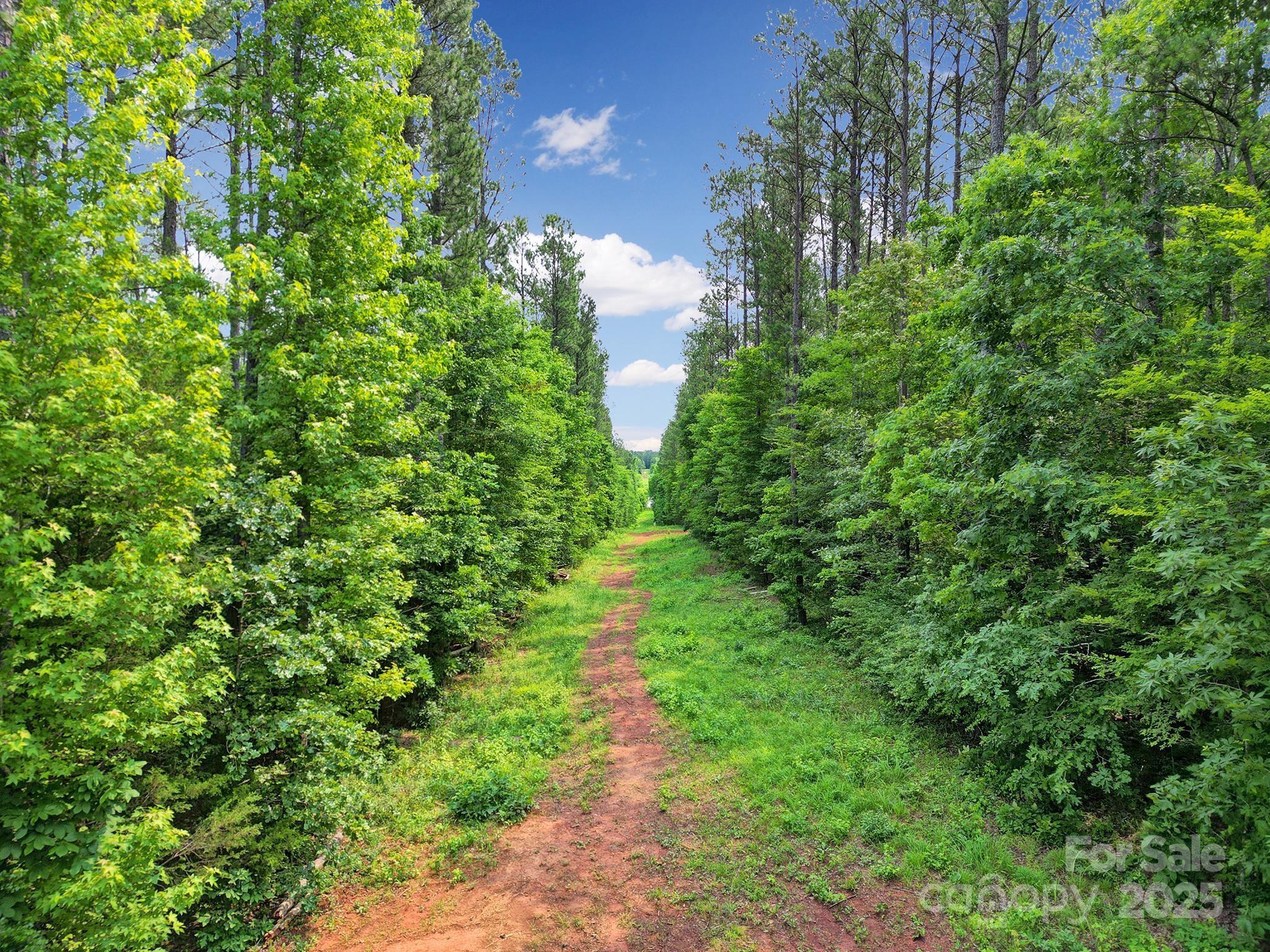 Lot 10 Goings Road, Unit 10 Chester, SC 29706 - Photo 7 of 14