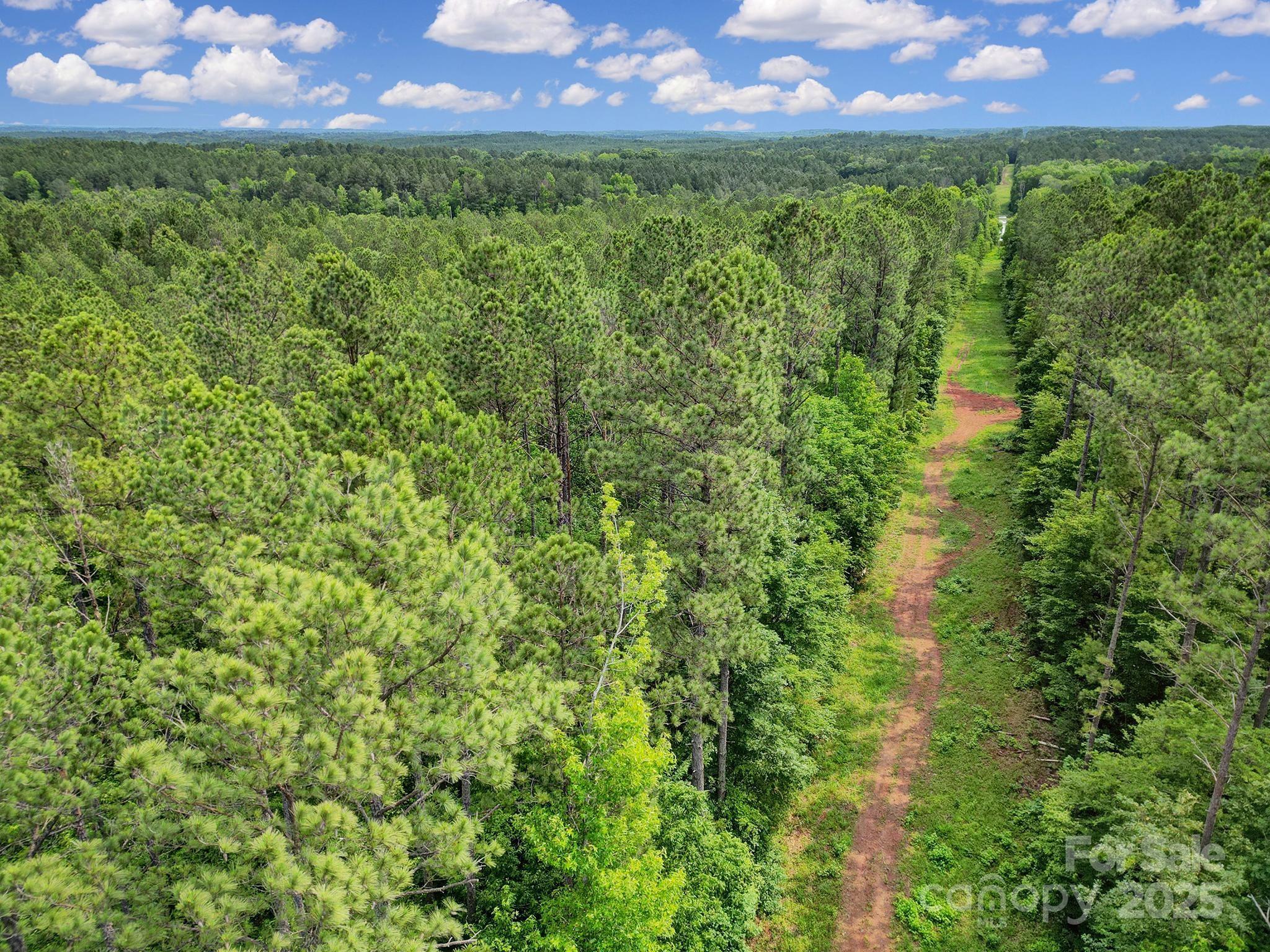 Lot 10 Goings Road, Unit 10 Chester, SC 29706 - Photo 8 of 14