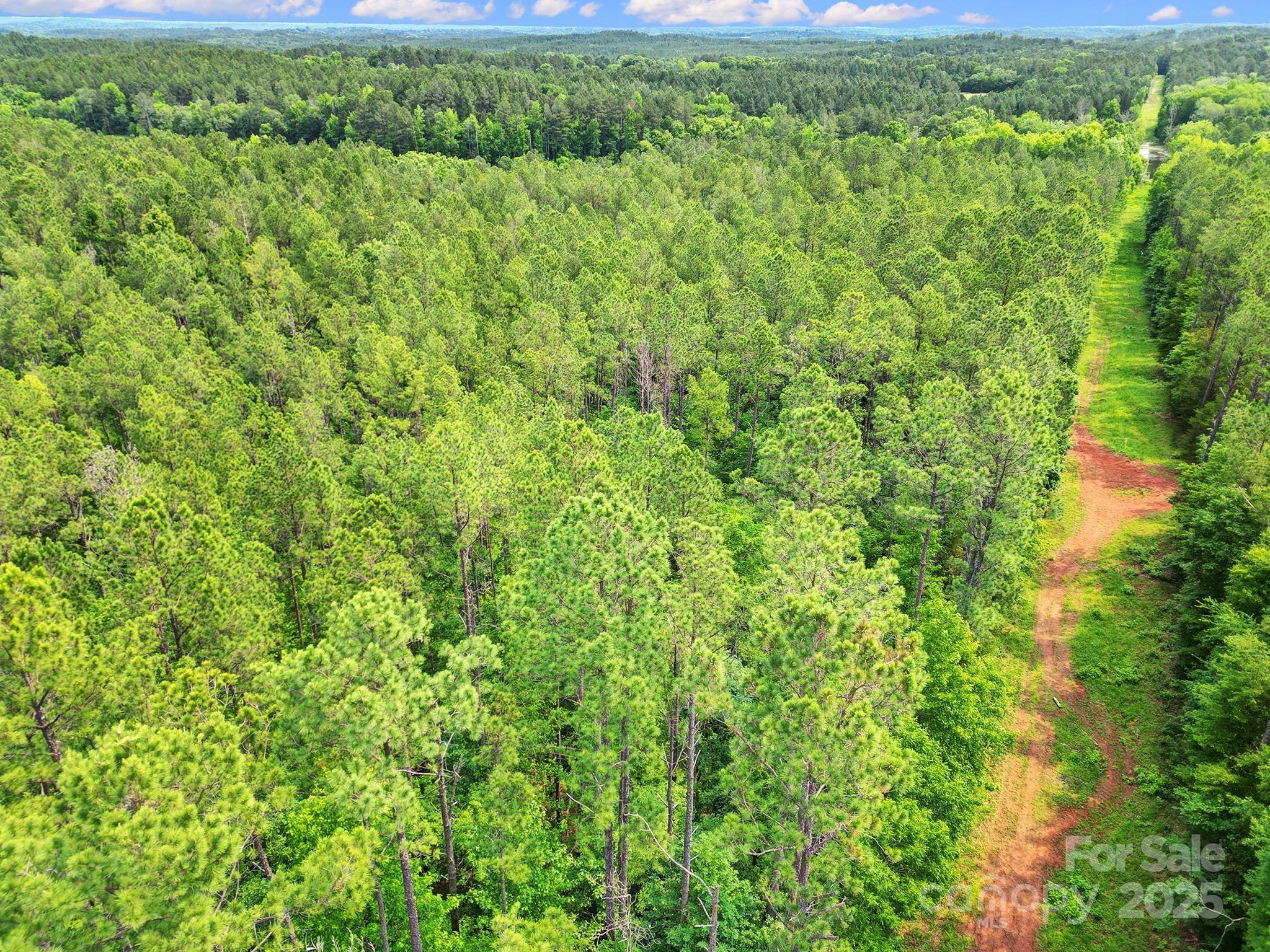 Lot 10 Goings Road, Unit 10 Chester, SC 29706 - Photo 9 of 14