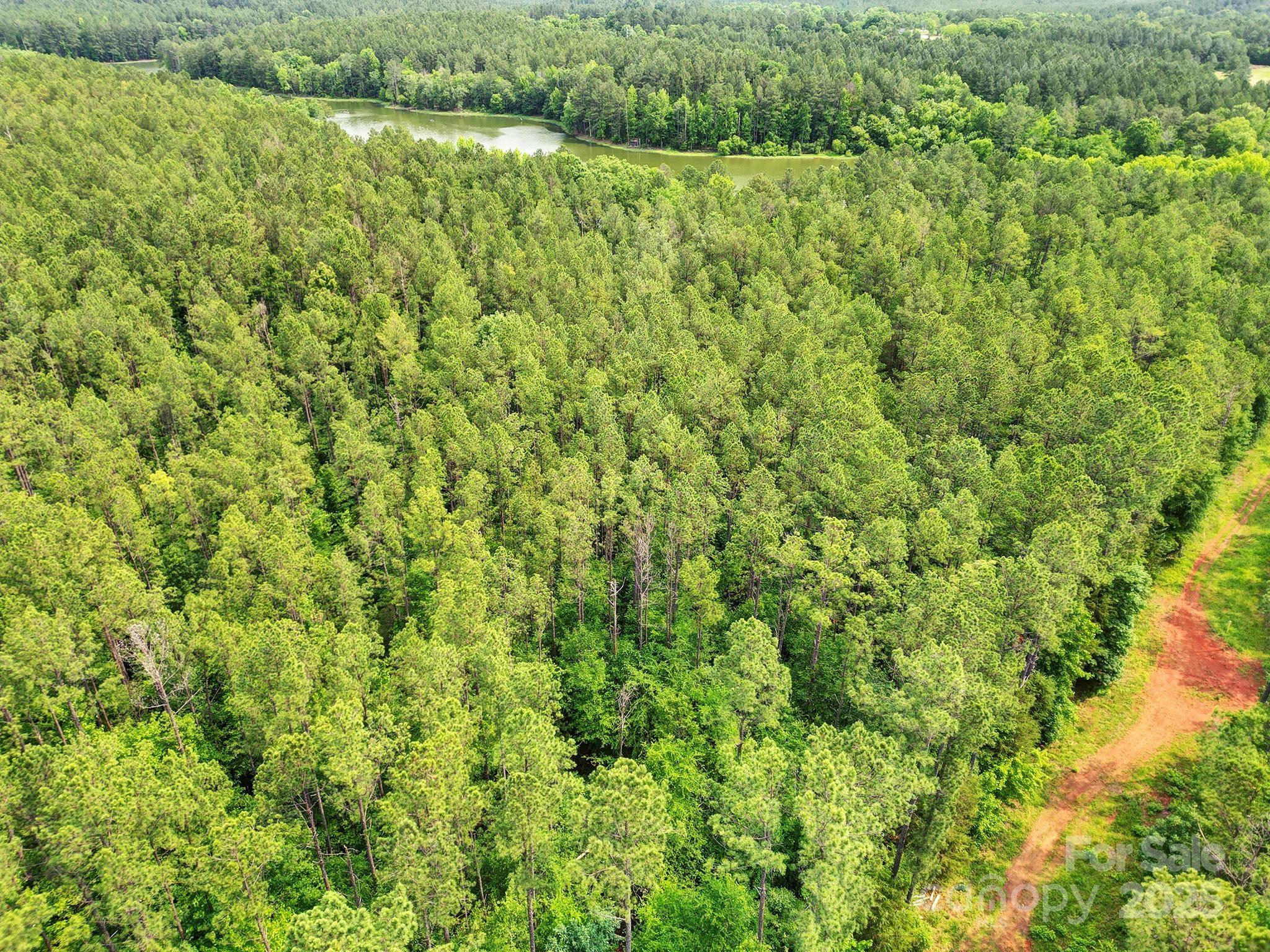 Lot 10 Goings Road, Unit 10 Chester, SC 29706 - Photo 10 of 14