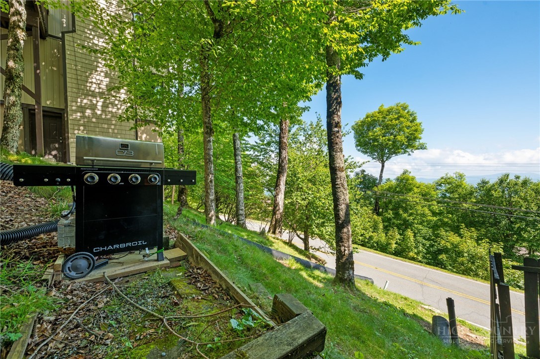 220 Northridge Road, Unit 16 Beech Mountain, NC 28604 - Photo 23 of 29